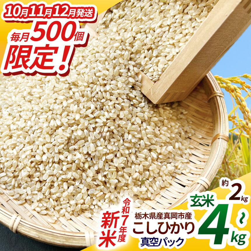 【ふるさと納税】【先行予約】いちご農家さん応援米！令和7年度新米 真岡市産こしひかり（玄米真空パック) 約2kg～約4kg 選べる内容量発送月 | 新米 こしひかり 真空 パック 米 お米 玄米  限定 ふるさと納税  数量限定 農家直送  健康志向 弁当 栃木県 真岡市 送料無料