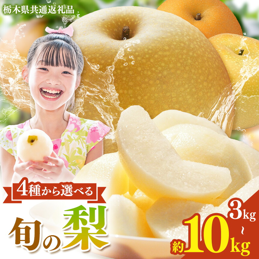 【ふるさと納税】先行予約 梨 3kg 5kg 10kg 選べる品種 ｜ なし ナシ 幸水 豊水 あきづき にっこり 完熟 高糖度 大玉 フルーツ 果物 旬 産地直送 お取り寄せ 贈答 贈り物 ギフト ご褒美 暑中見舞い 詰め合わせ 栃木県 真岡市 送料無料｜栃木県真岡市