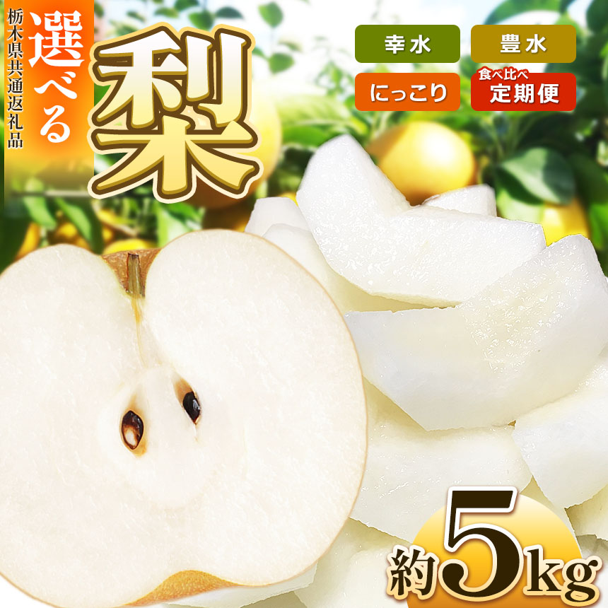 【ふるさと納税】【2025年先行予約】 栃木産 幸水 or 豊水 or にっこり or 食べ比べ3回定期便 約5kg |  梨 なし 大きい フルーツ デザート 果汁 ジューシー 甘い 高糖度  柔らか 果肉 旬 品種 果物 くだもの 栃木県 送料無料