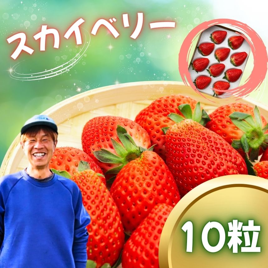 【ふるさと納税】スカイベリー　10粒【2027年先行予約】 | 赤 大粒 上品 華やか 苺 strawberry ストロベリー おいしい 甘い ジューシー 贈答用 プレゼント ご褒美 スイーツ おやつ 高評価 人気 レビュー 栃木県 真岡市 日本一 送料無料 14,800円