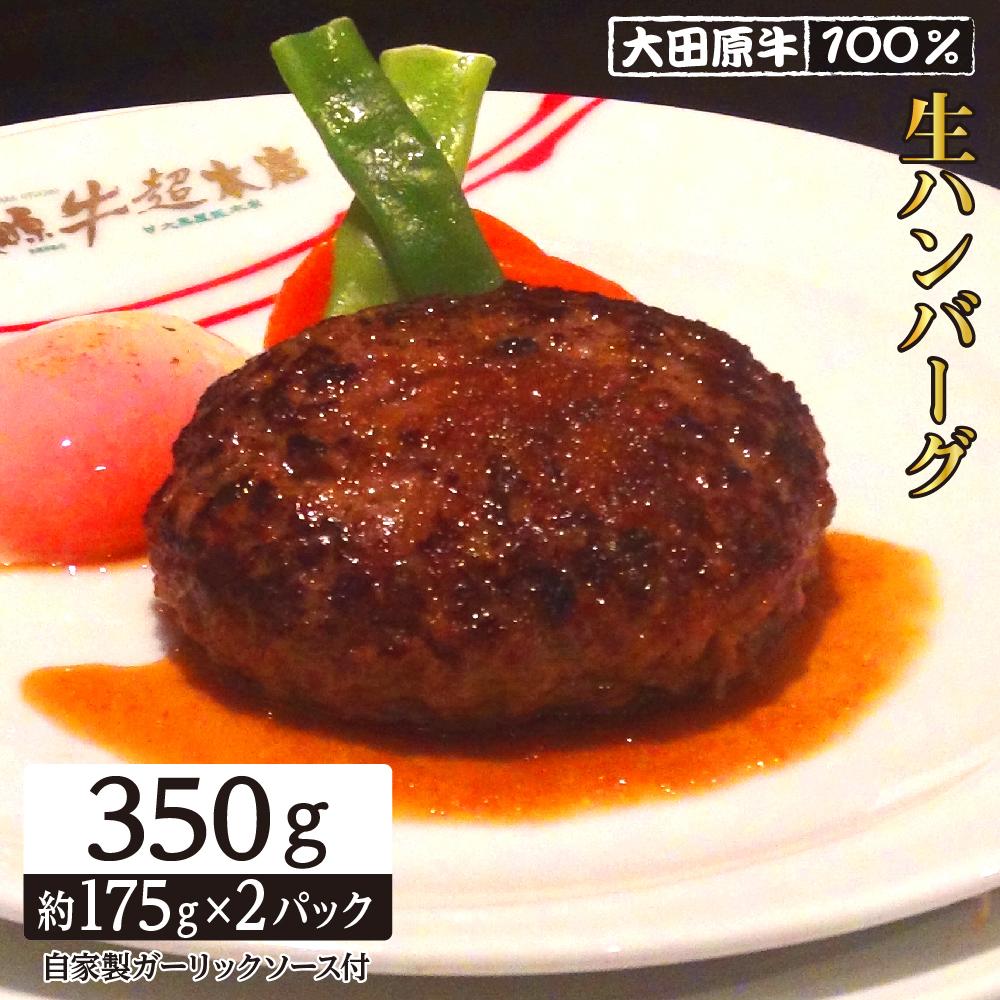 【ふるさと納税】大田原牛 100％ 生ハンバーグ 2パックセット | ブランド 和牛 牛肉 高級 ハンバーグ 自家製 ソース付き | 肉 お肉 にく 食品 人気 おすすめ 送料無料 ギフト