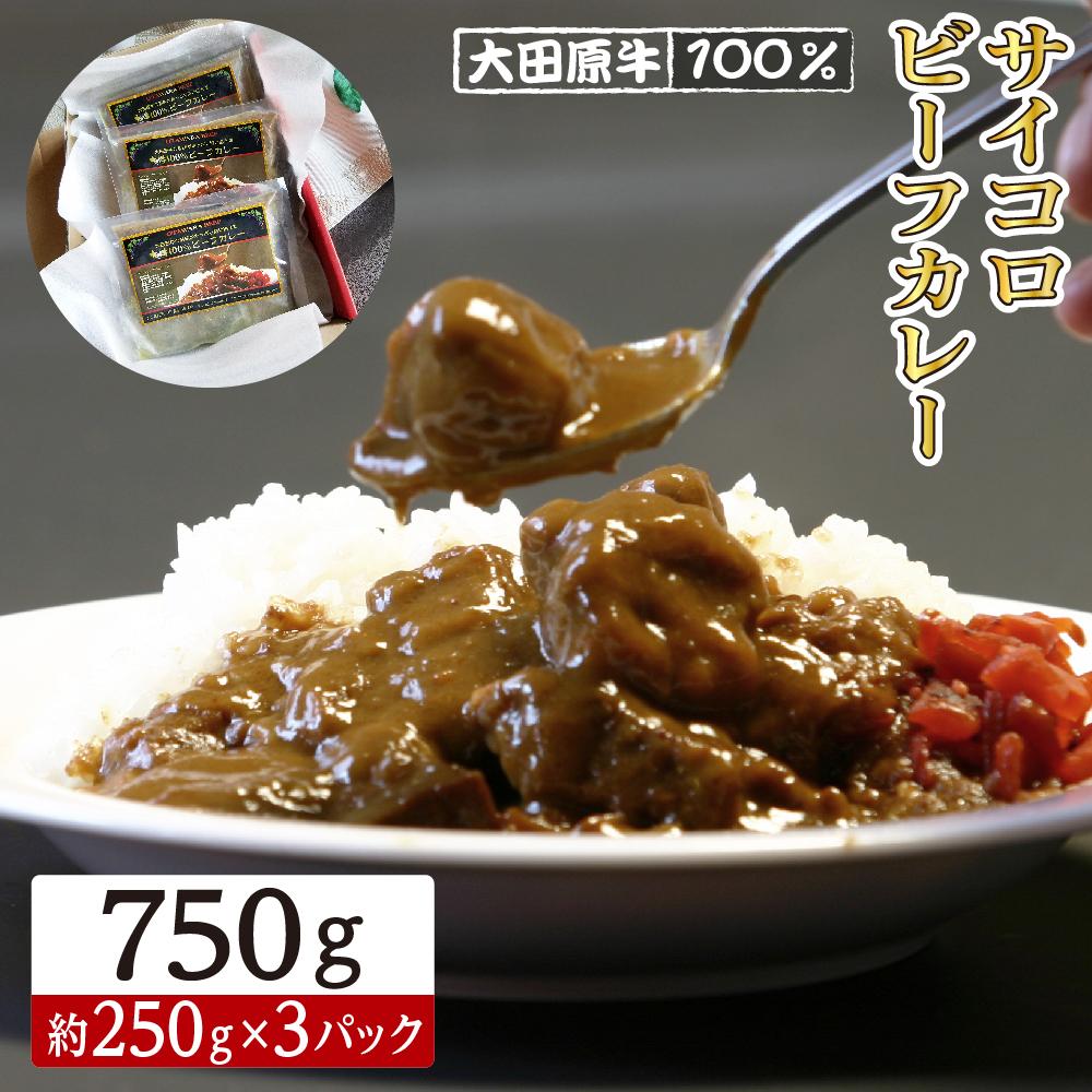 【ふるさと納税】大田原牛 100％ サイコロ ビーフカレー 3パックセット | レトルト カレー 和牛 牛肉 ビーフカレー 高級  | 食品 加工食品 人気 おすすめ 送料無料