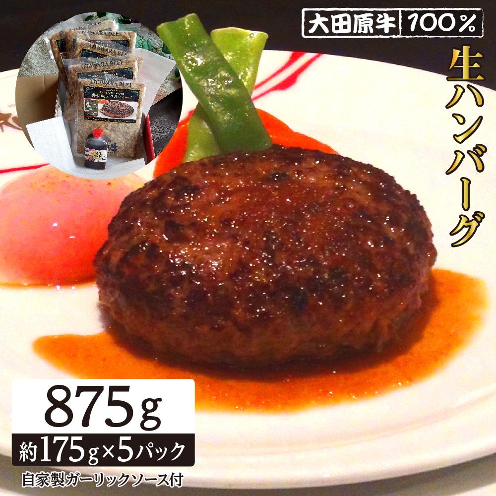 【ふるさと納税】大田原牛 100％ 生ハンバーグ 5パックセット | ブランド 和牛 牛肉 高級 ハンバーグ 自家製 ソース付き | 肉 お肉 にく 食品  人気 おすすめ 送料無料 ギフト