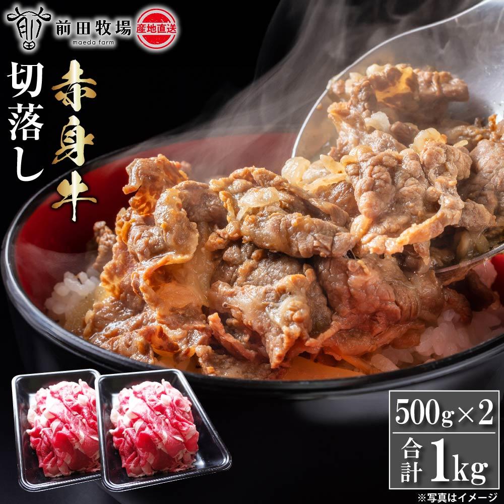 【ふるさと納税】【大田原 前田牧場直送】赤身牛すき焼用切落し 500ｇ×2パック