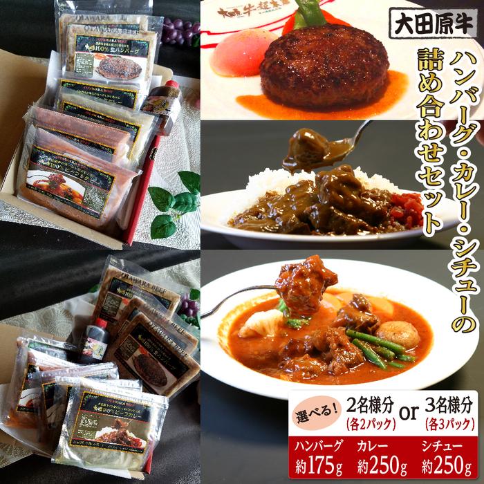 【ふるさと納税】【選択可能】【2～3名様分】大田原牛 ハンバーグ・カレー・シチューの詰め合わせセット | ブランド牛 和牛 牛肉 高級 ハンバーグ カレーライス ビーフシチュー｜栃木県大田原市