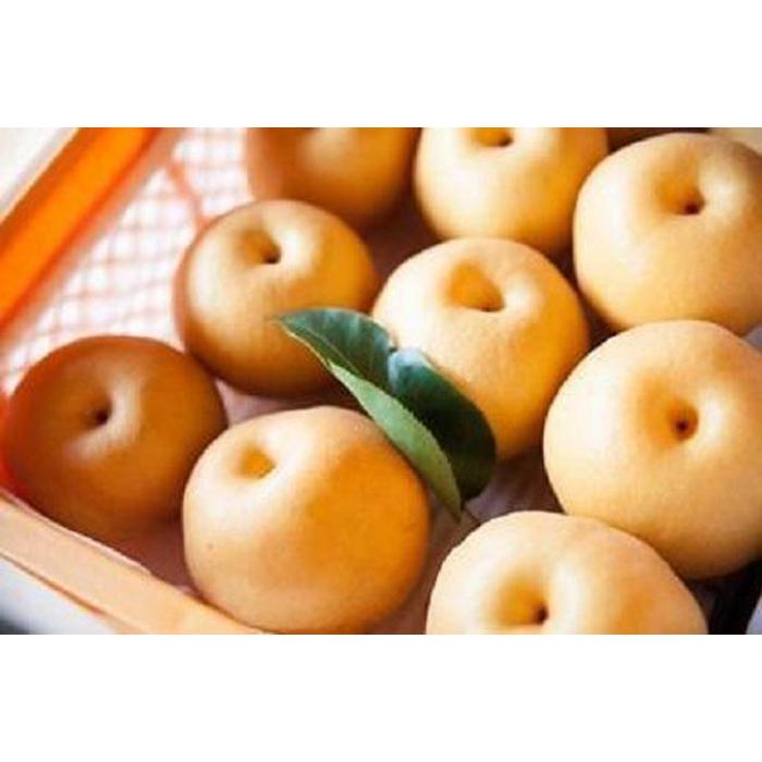 【ふるさと納税】【先行受付】≪10～11月発送≫乙連沢梨園（阿久津さん）4.5kg箱　梨ギフト［にっこり］
