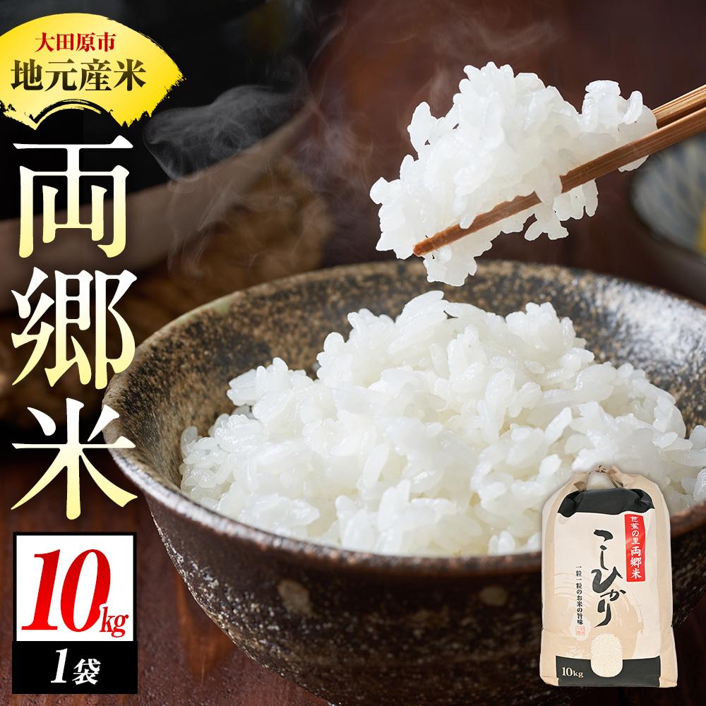 【ふるさと納税】地元産 両郷米 10Kg &times;1袋 ｜ お米 コシヒカリ こしひかり 栃木県 大田原市｜栃木県大田原市 16,330円