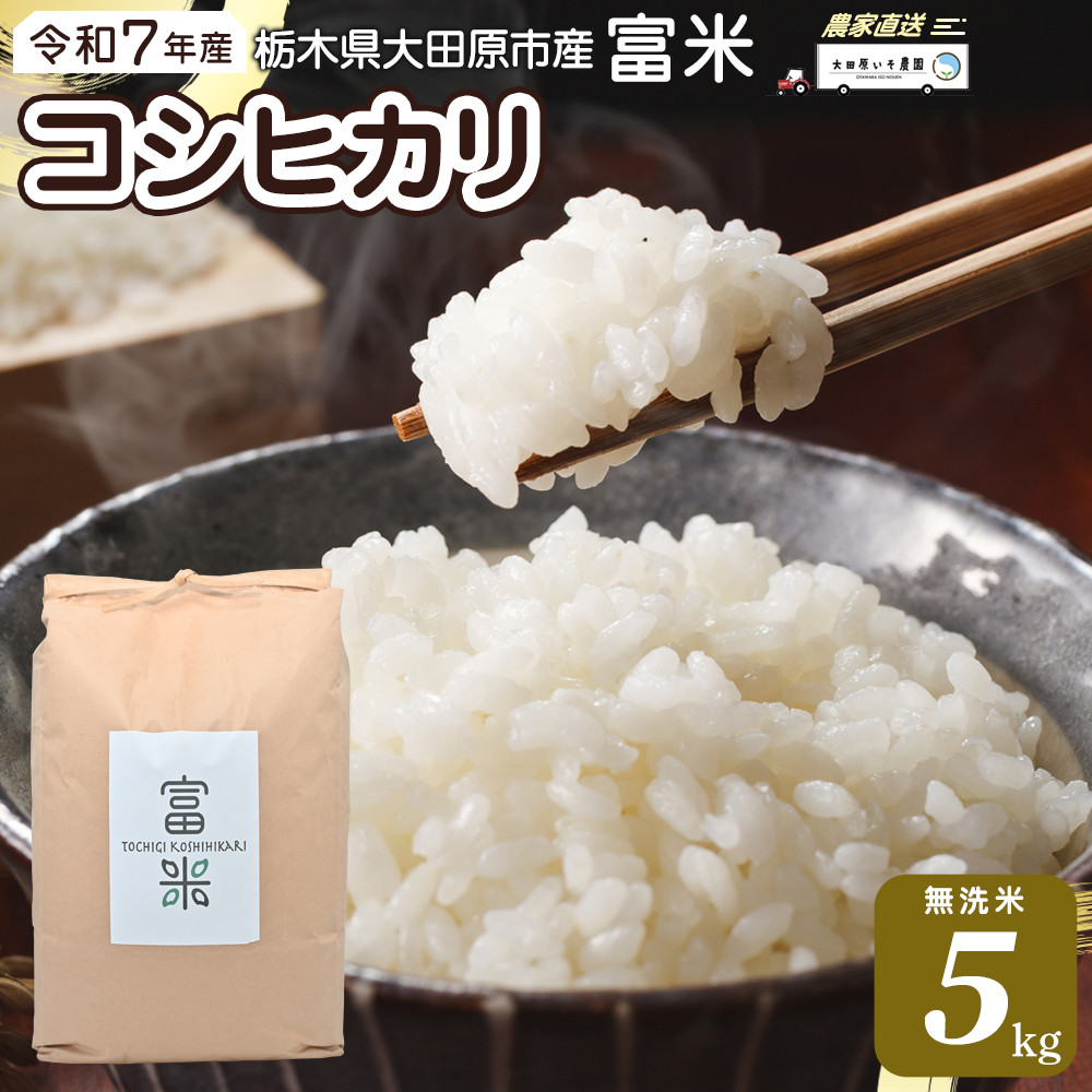 令和7年 新米！精米無料！玄米15キロ 栃木県大田原 黒羽産コシヒカリ 15㎏ 令和7年 新米！精米無料！玄米15キロ 栃木県大田原 黒羽産コシヒカリ