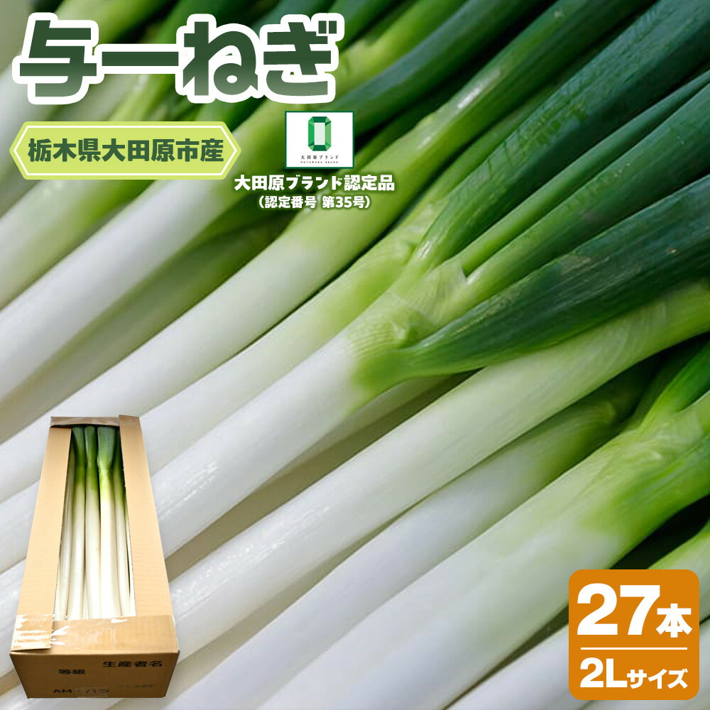 【ふるさと納税】与一ねぎ 2Lサイズ（27本） ｜野菜 ネギ 農家直送 産地直送 産直 大田原ブランド 栃木県 大田原市 | ねぎ ネギ 野菜 人気 おすすめ 送料無料