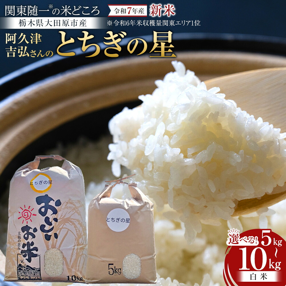 楽天市場】【ふるさと納税】【令和6年産】せらの恵 3種のお米