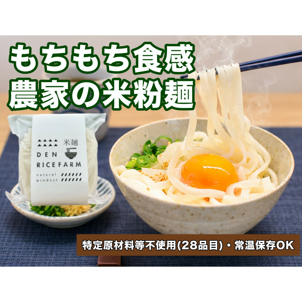 【ふるさと納税】グルテンフリー 無添加 米麺 120g 10個セット（白米麺10個）｜米粉 うどん 焼きそば パスタ 麺