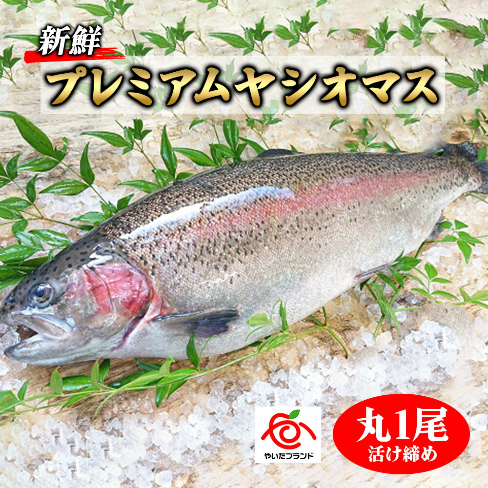 【ふるさと納税】栃木県のブランド魚「プレミアムヤシオマス」丸1尾 新鮮 活け締め｜鮮魚 鱒 国産 産地直送  [0355]