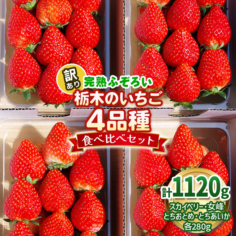 【ふるさと納税】訳あり 完熟ふぞろい 栃木のいちご4品種 食べ比べセット｜スカイベリー 女峰 とちおとめ とちあいか いちご イチゴ 苺 フルーツ 果物 アソート 産地直送 訳あり品 矢板市産 栃木県産 澳原いちご農園 [0621]
