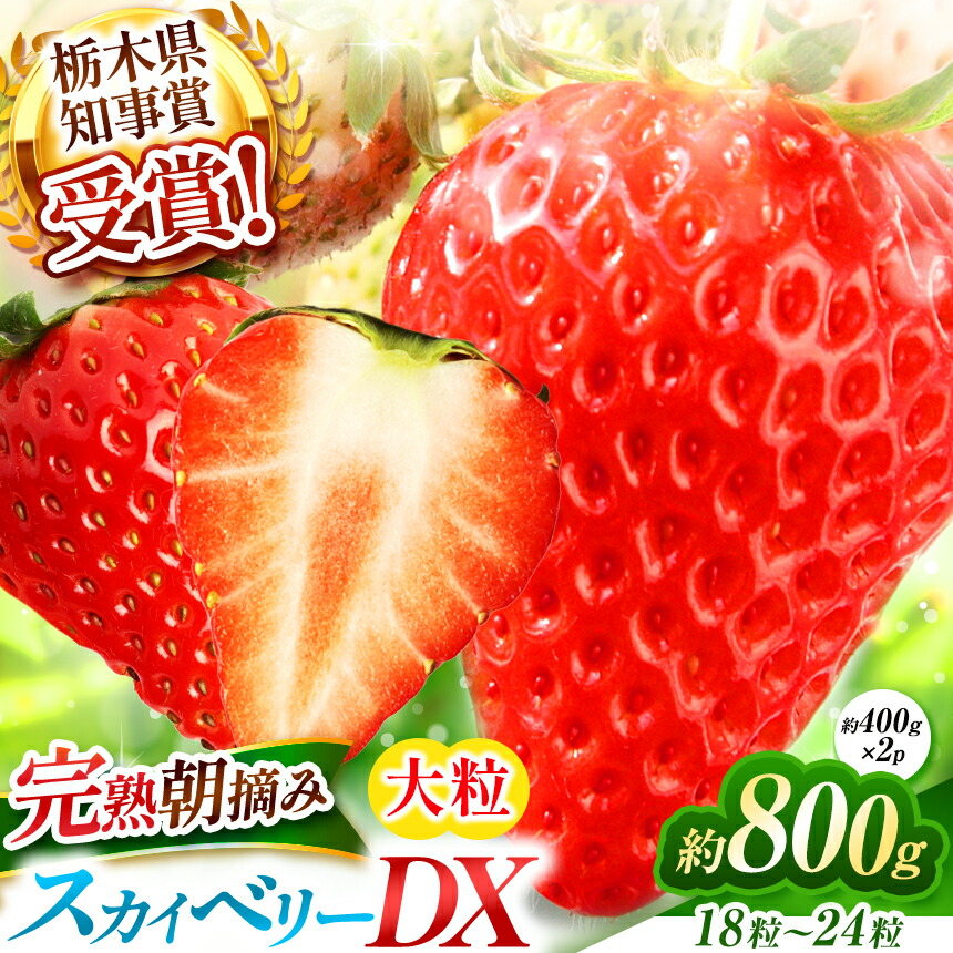 いちごページ いちご様 いちご① いちごページ 椿 Buy ZX 8000 'Strawberry Latte