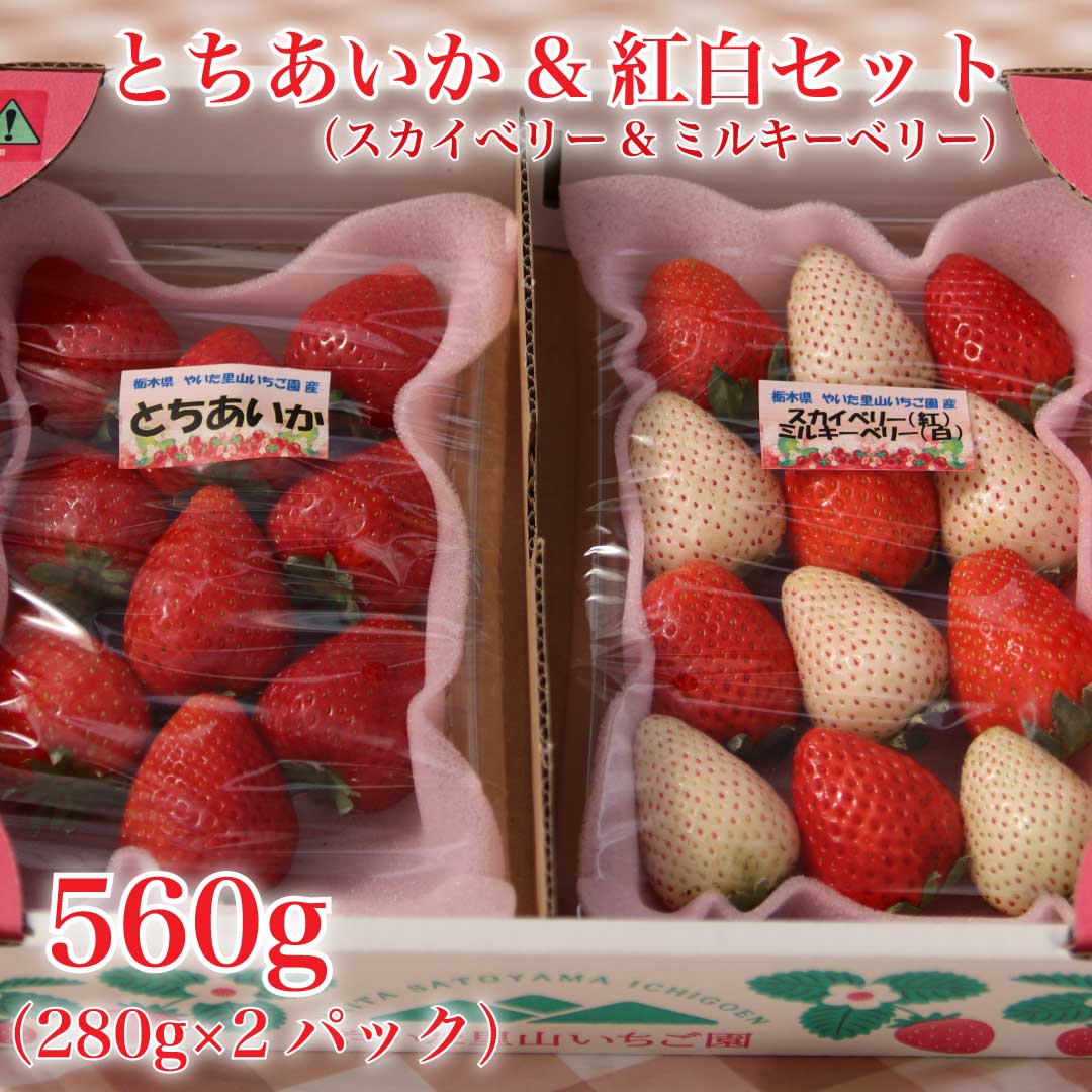 楽天市場】【ふるさと納税】[先行予約] 朝摘みとちあいか 280g×4パック