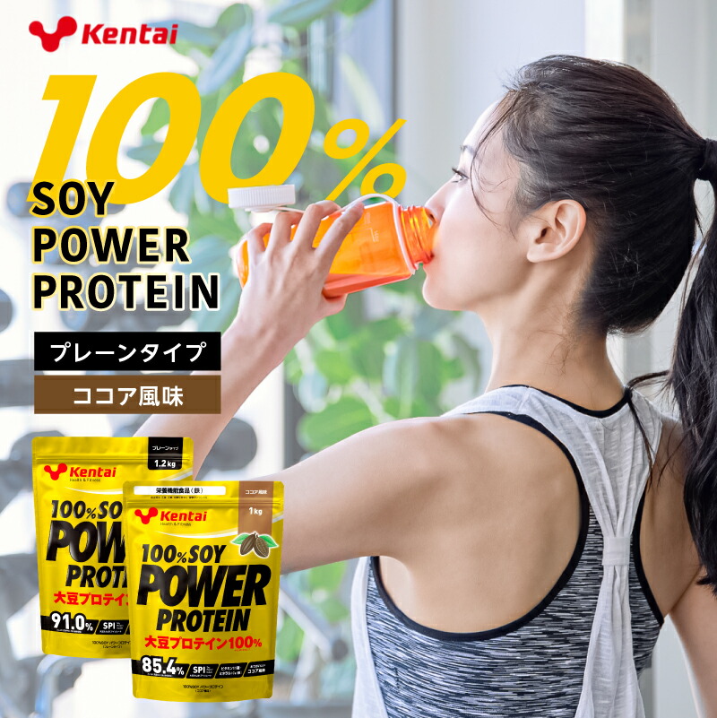 【ふるさと納税】【フレーバーが選べる】100%SOY POWER PROTEIN 栃木県 那須塩原市 プロテイン タンパク質 植物由来 大豆 ビタミン ミネラル 飲料 健康 お取り寄せ 送料無料|栃木県那須塩原市