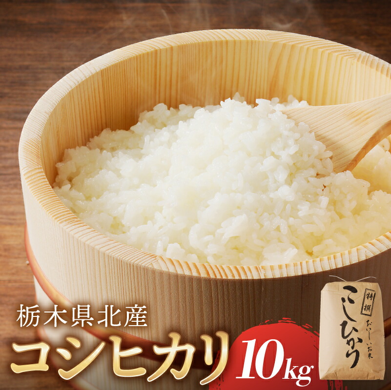 【ふるさと納税】【令和7年度産】栃木県北産コシヒカリ 10kg入【栃木県共通返礼品】 栃木県 那須塩原市 米 お米 ブランド米 おにぎり ごはん 白米 国産米 コシヒカリ 食品 精米 送料無料｜栃木県那須塩原市