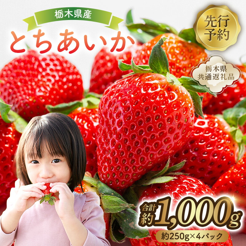 シモツケ（下野）CR八汐Ⅱ硬調 540(8)