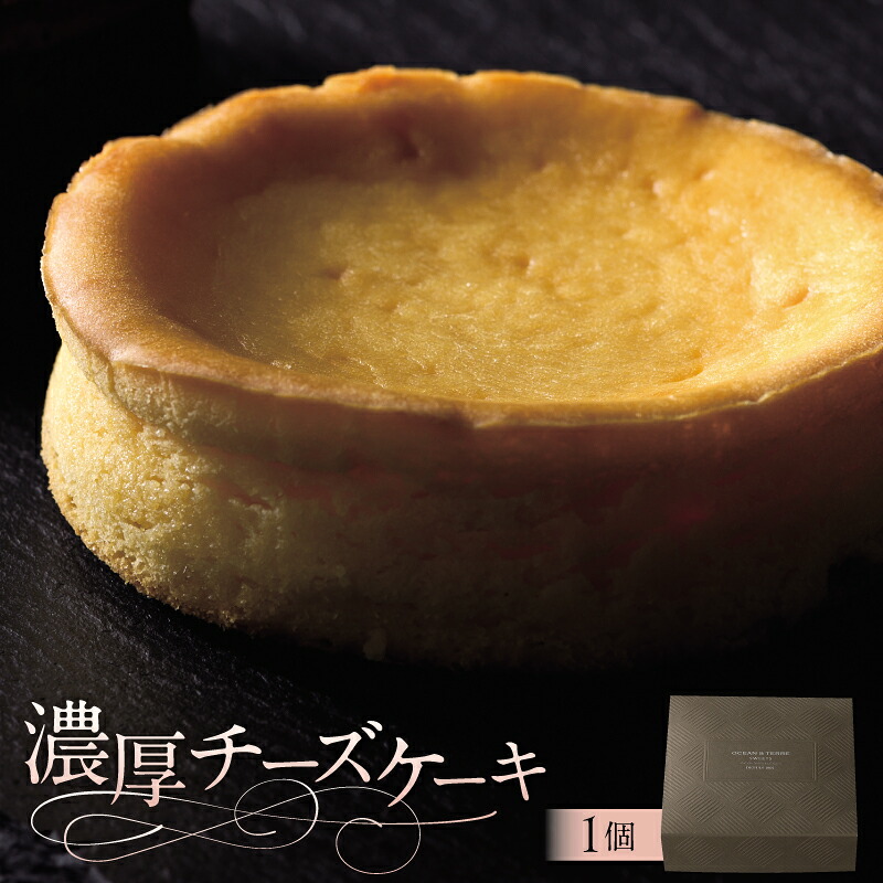 【ふるさと納税】濃厚チーズケーキ AS118 栃木県 那須塩原市 濃厚 チーズケーキ ガトーフロマージュ スイーツ お菓子 おやつ 洋菓子 OCEAN&TERRE お取り寄せ 送料無料