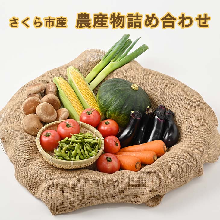 【ふるさと納税】さくら市産の農産物詰め合わせ<br>≪野菜 新鮮 国産 栃木県 送料無料≫