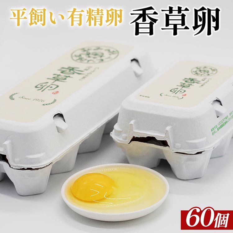楽天市場】【ふるさと納税】 卵 たまご 産みたて新鮮卵 30個入り