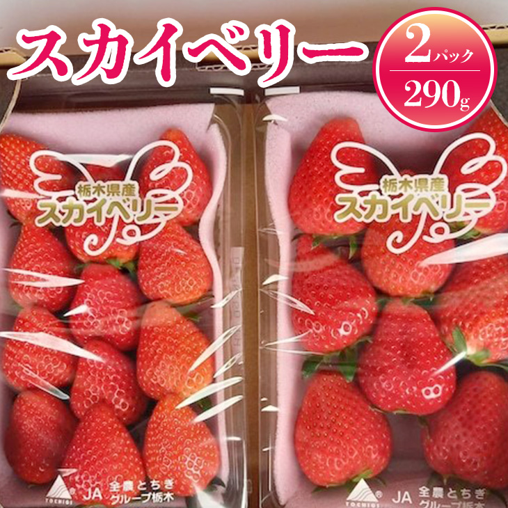 いちご スカイベリーセット※2023年1月下旬〜5月下旬頃に順次発送予定 【翌日発送可能】