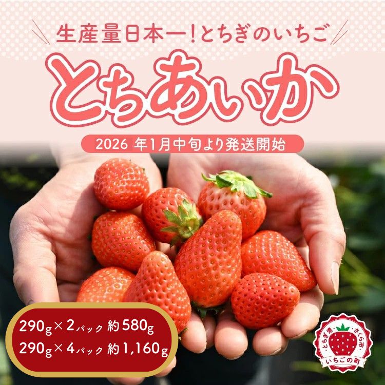 【未使用・送料無料】キティ 2点セット 栃木限定 TOCHIGI 苺 いちご 栃木 サクマ ハローキティ いちごみるく 15粒入 いちご果汁 飴