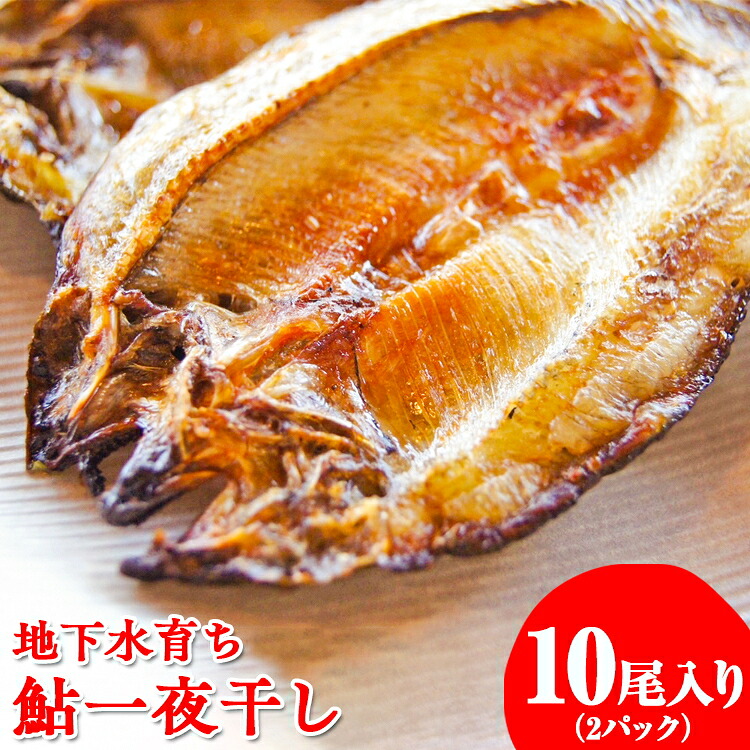 【ふるさと納税】地下水育ち　鮎一夜干し　5尾入り2パック｜栃木県さくら市 9,000円