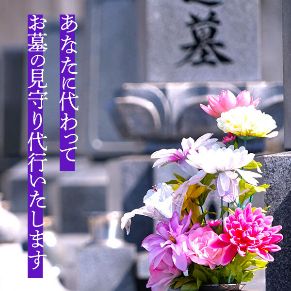 【ふるさと納税】お墓の見守り　年2回コース◇