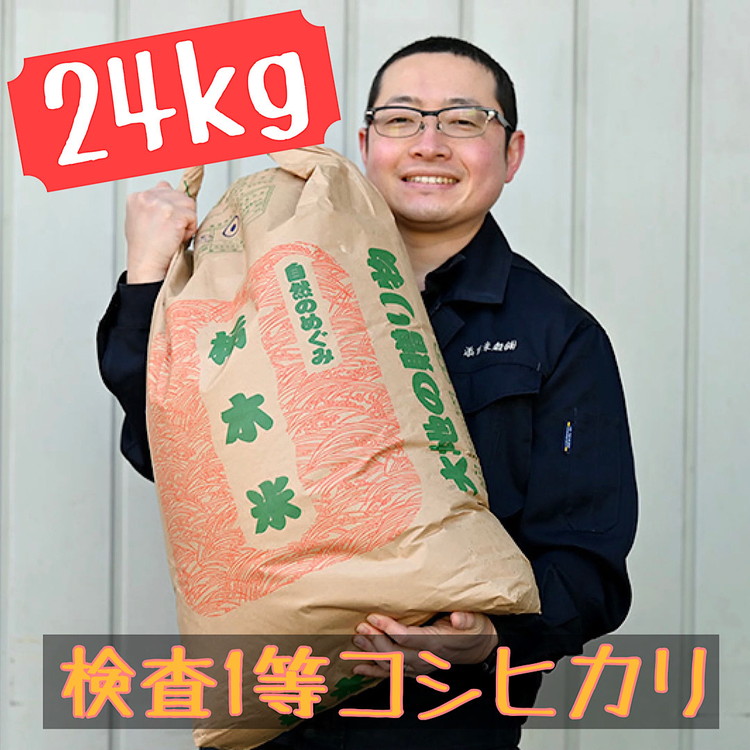 【ふるさと納税】栃木県産 コシヒカリ 玄米24kg【検査1等米】 ※離島への配送不可