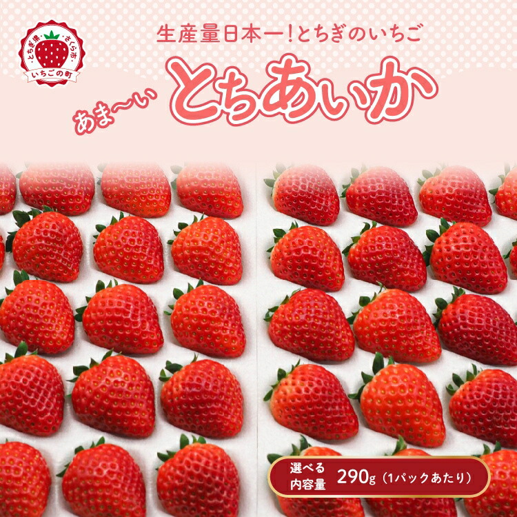 【ふるさと納税】＼選べる内容量／【先行予約】【数量限定】とちあいか 290g（1パックあたり）｜いちご イチゴ 苺 先行予約 栃木県 果物 くだもの フルーツ とちあいか 新鮮 贈答 ギフト 食べ比べ 真空パック ※2026年11月～発送｜栃木県さくら市 24,480円