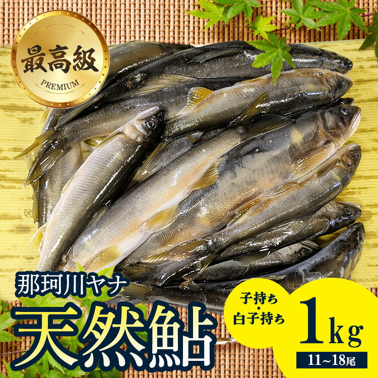 【ふるさと納税】28-1 最高級 那珂川の天然あゆ1kg（子持ち・白子持ち）