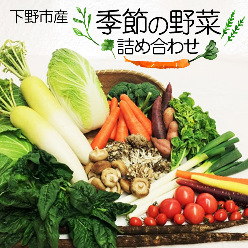 【ふるさと納税】下野市産 季節の 野菜 詰め合わせ  | 野菜 詰め合わせ セット 新鮮 栃木県 特産品 下野市 しもつけ市