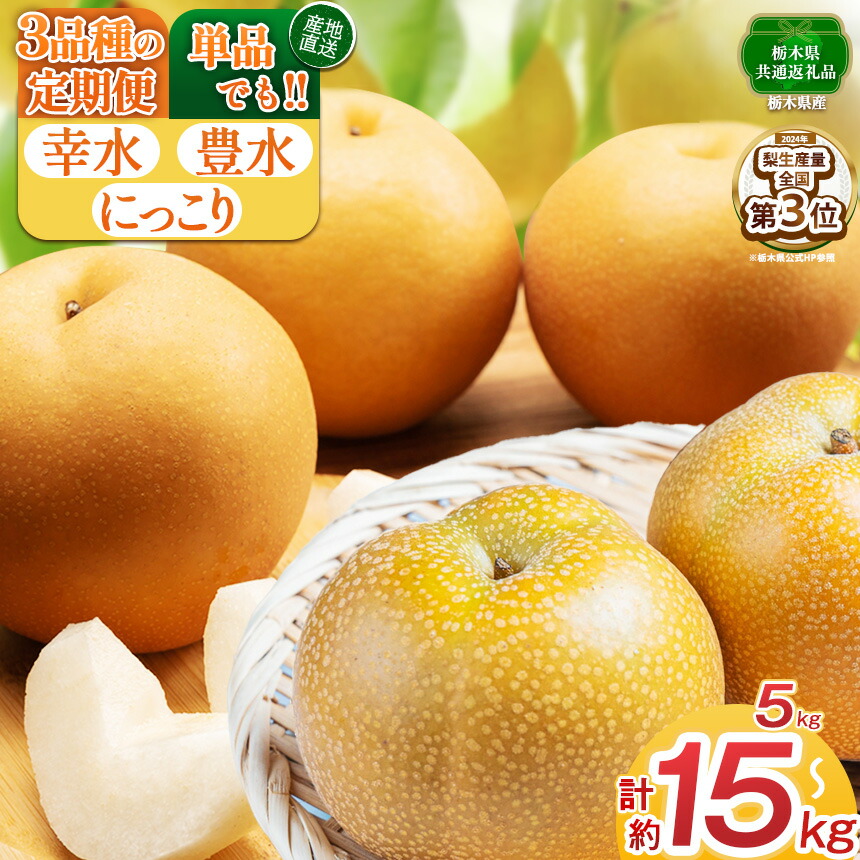【ふるさと納税】【先行予約】選べる！梨 にっこり 幸水 豊水 5kg 単品 / 3回 定期便 | 【栃木県共通返礼品】 大 人気  レビュー リピート 果物 フルーツ たっぷり 果汁 果肉 ジューシー 甘い 高糖度 柔らかな シャキシャキ 旬 品種 くだもの 送料無料 栃木県 下野市
