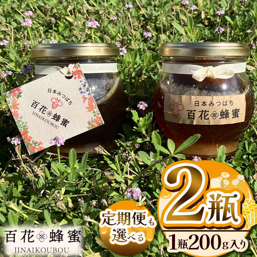 【ふるさと納税】 はちみつ 日本蜜蜂の百花蜂蜜 2瓶 定期便 限定 【選べる定期便】【数量限定】| はちみつ ハチミツ ミツバチ 濃厚 シロップ 無添加 栃木県 下野市 送料無料