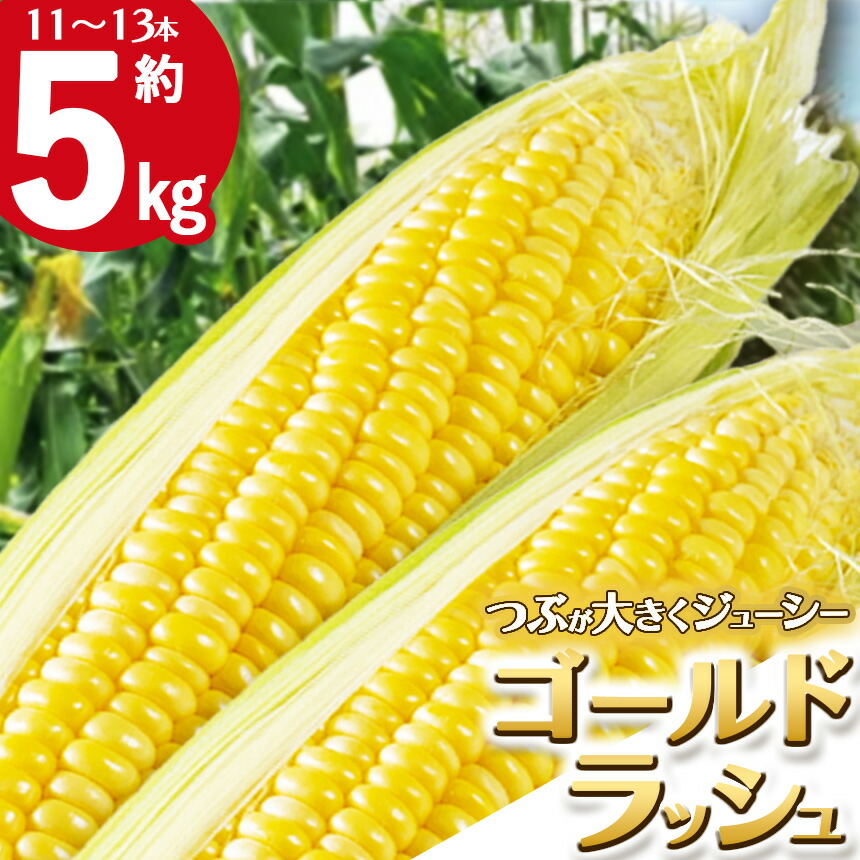 【ふるさと納税】【先行予約】【6月下旬から順次発送】下野市産とうもろこし「ゴールドラッシュ」約5kg(11～13本) |  旬 野菜 送料無料 栃木県 下野市 特産