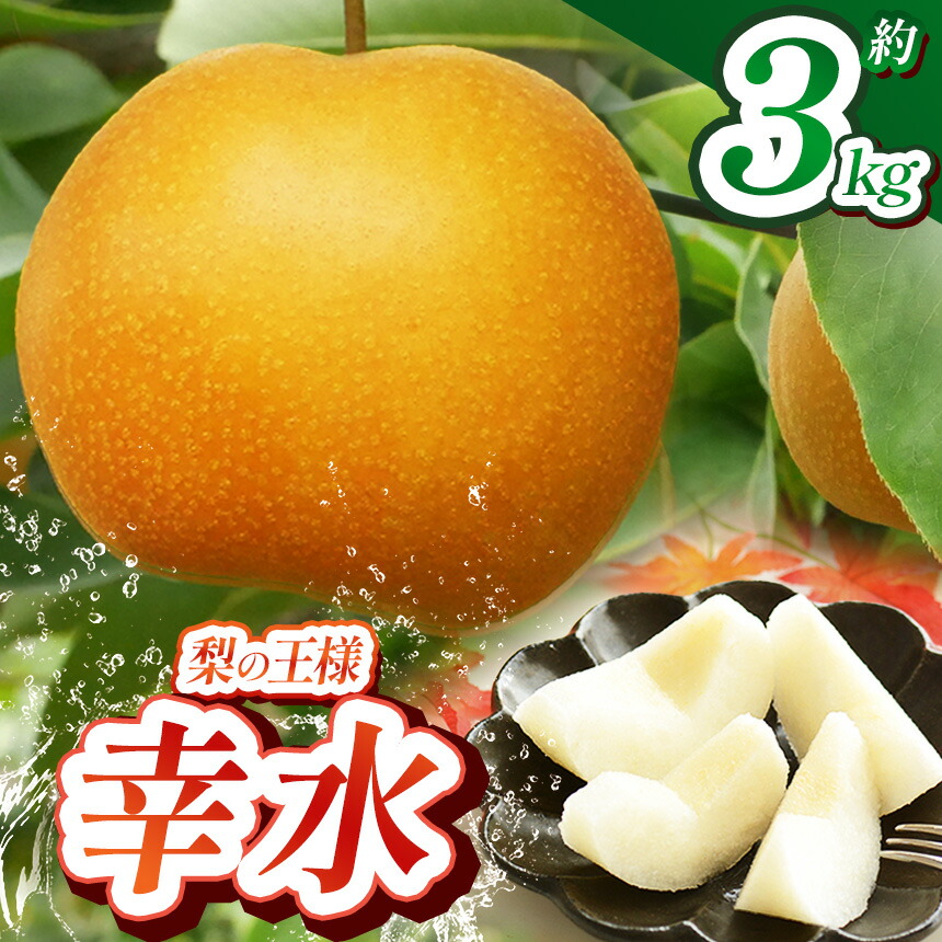 【ふるさと納税】【2025年秋先行予約】幸水 3kg | 送料無料 栃木県 下野市 共通返礼品 梨 幸水 果物 フルーツ デザート