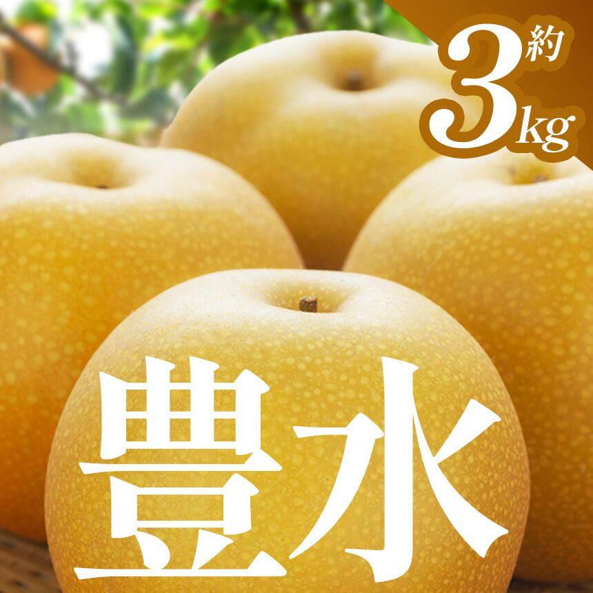 【ふるさと納税】【2025年先行予約】 豊水 3kg |  送料無料 栃木県 下野市 梨 豊水 果物 フルーツ デザート