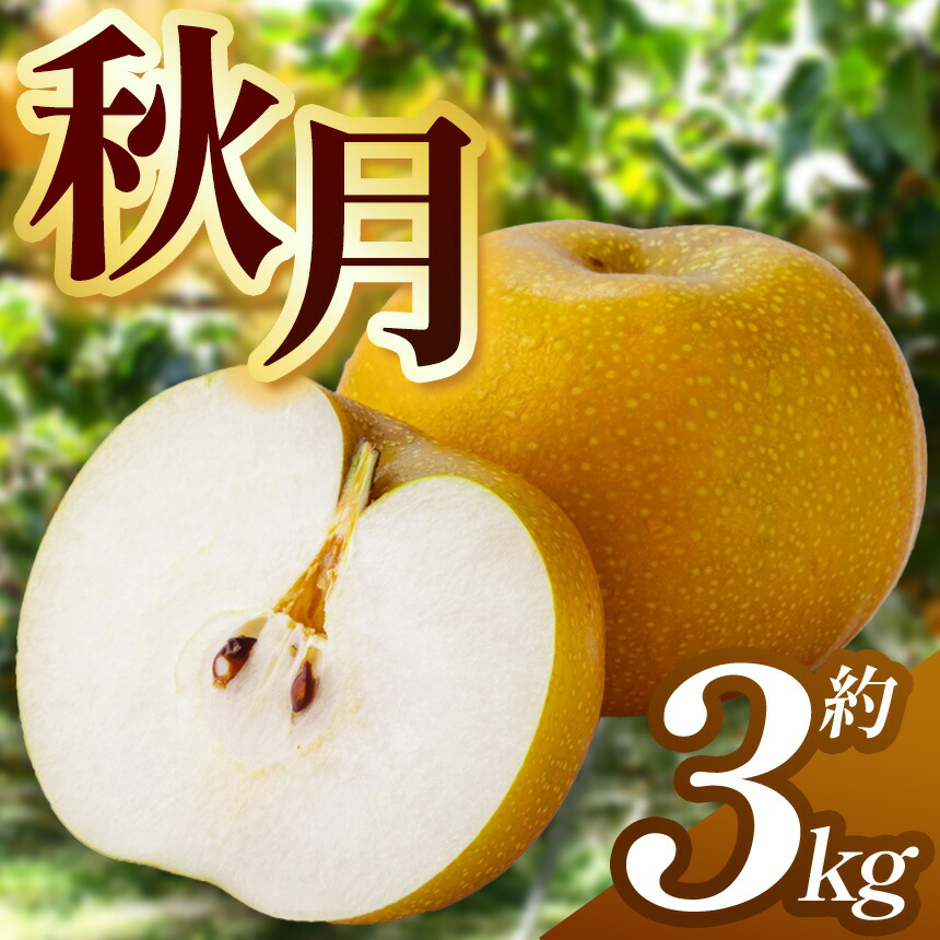 【ふるさと納税】【2025年先行予約】 秋月 3kg |  送料無料 栃木県 下野市 梨 豊水 果物 フルーツ デザート