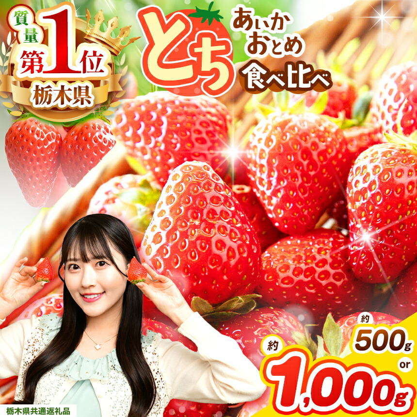 【ふるさと納税】先行予約 苺美味比べ とちあいか＆とちおとめ 食べ比べ 500g 1000g | 苺 王国 日本一  家庭用 大粒 秀品 とちおとめ とちあいか 食べ比べ 数量 限定 共通 返礼品 ストロベリー  果物 フルーツ 限定品種 栃木県 特産品 下野市 送料無料【栃木県共通返礼品】