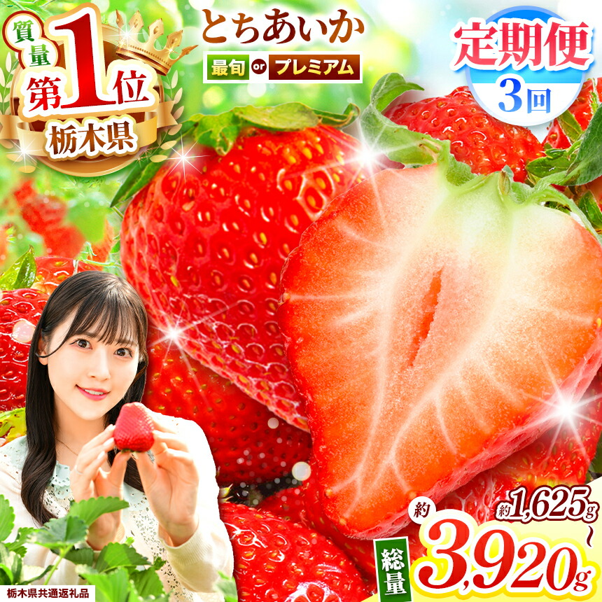 【ふるさと納税】【栃木県共通返礼品】【定期便3回】最旬 プレミアム とちあいか | 定期便 いちご イチゴ フルーツ 果物 とちあいか おいしい いちご王国 栃木県 特産品 下野市 しもつけ市