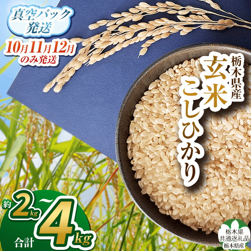 【ふるさと納税】【栃木県共通返礼品】【先行予約】【数量限定】毎月500個限定！令和7年度新米 栃木県産こしひかり（玄米真空パック）2kg 2kg×2 | コシヒカリ お米 米 こめ コメ 精米 白米 玄米 大粒 お買い得 送料無料 栃木県 下野市 しもつけ市