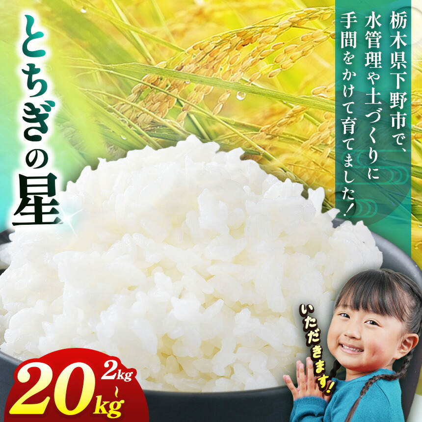 【ふるさと納税】お米 下野市産 とちぎの星 2~20kg 選べる内容量 玄米 白米 | 米 こめ コメ 白米 精米 トチギの星 とちぎのほし トチギノホシ ﾄﾁｷﾞﾉﾎｼ 栃木米 令和7年度米 令和7年 2025年度 ブランド米 栃木県 特産品 送料無料 栃木県 下野市