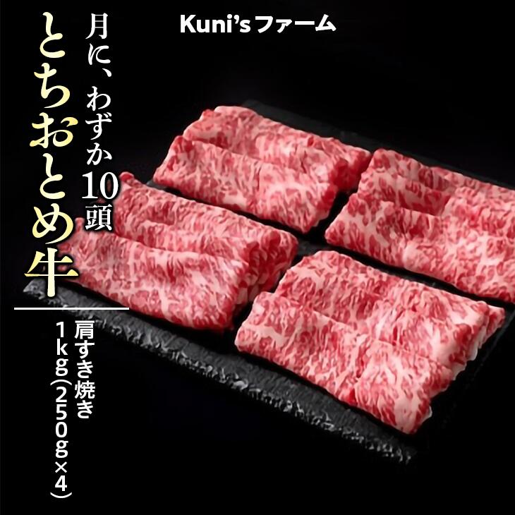 ふるさと納税 とちおとめビーフ 肩関節すき焼1kg 250g 4 牛肉 すき焼き すきやき Fashionwhirled Com