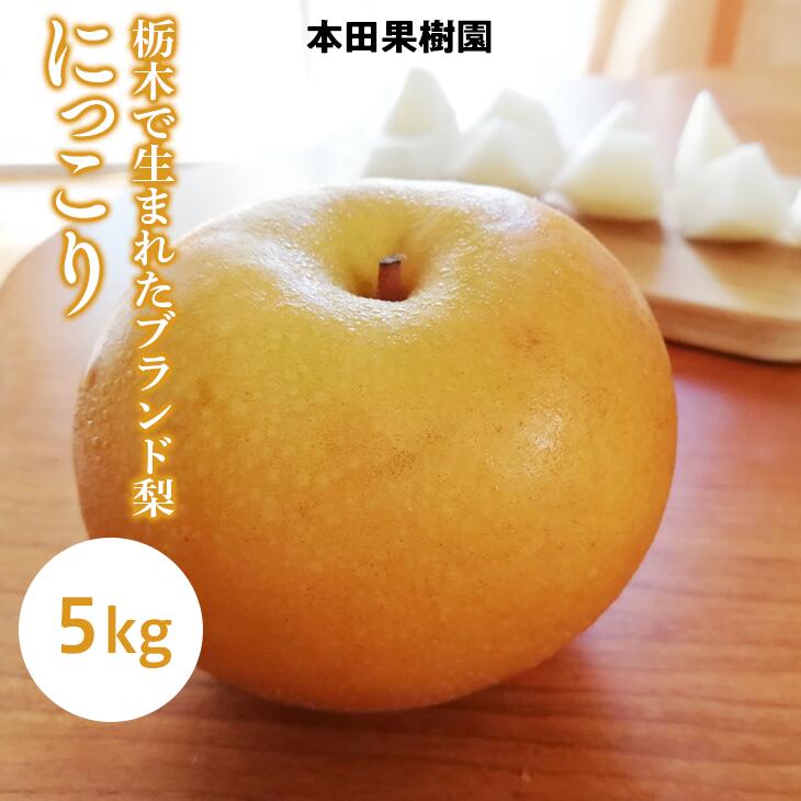 【ふるさと納税】「にっこり」 梨 なし 5kg | 先行予約 数量限定 贈答用 なし 梨 果物 くだもの フルーツ ナシ 旬 にっこり 栃木県 上三川町 本田果樹園 ※2026年10月～発送｜栃木県上三川町