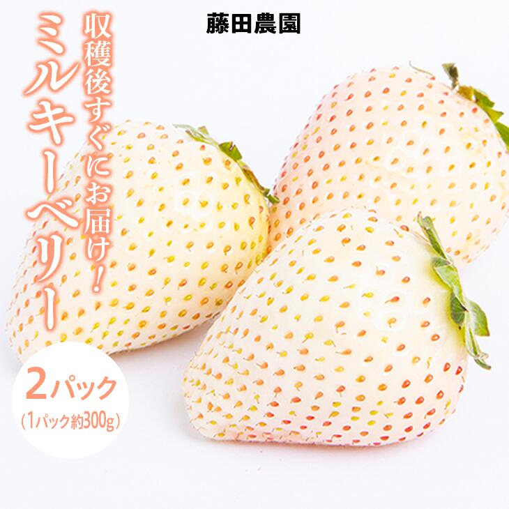 ふるさと納税 鬼怒川の趣を重々受諾た 栃木県上三川 かみのかわ 小さな
