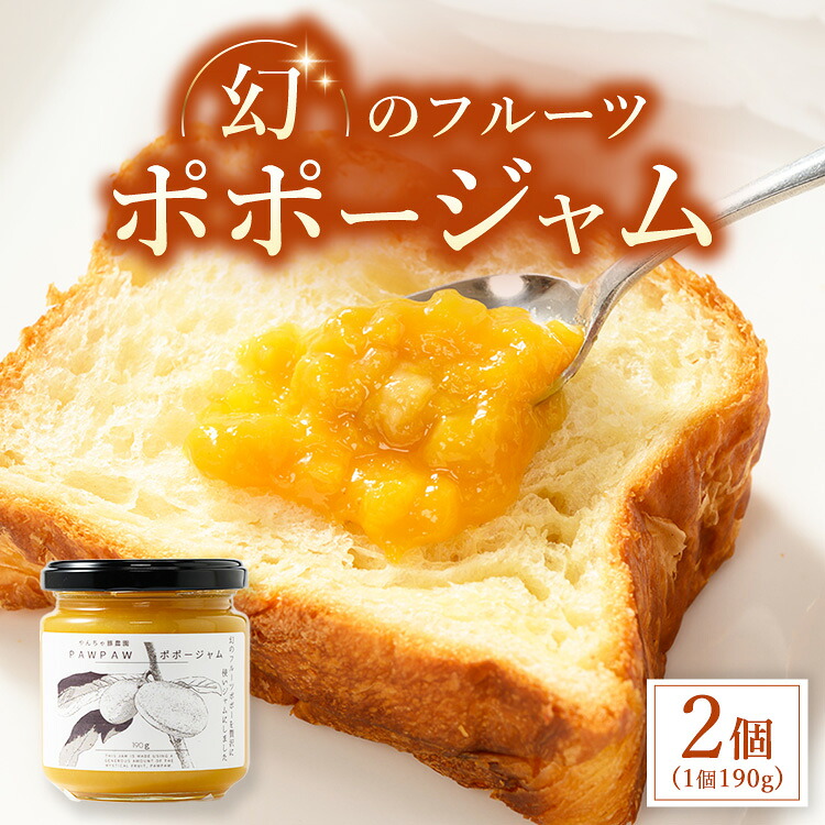 【ふるさと納税】【幻のフルーツポポーを贅沢に使いジャムにしました】 ポポージャム 2個セット
