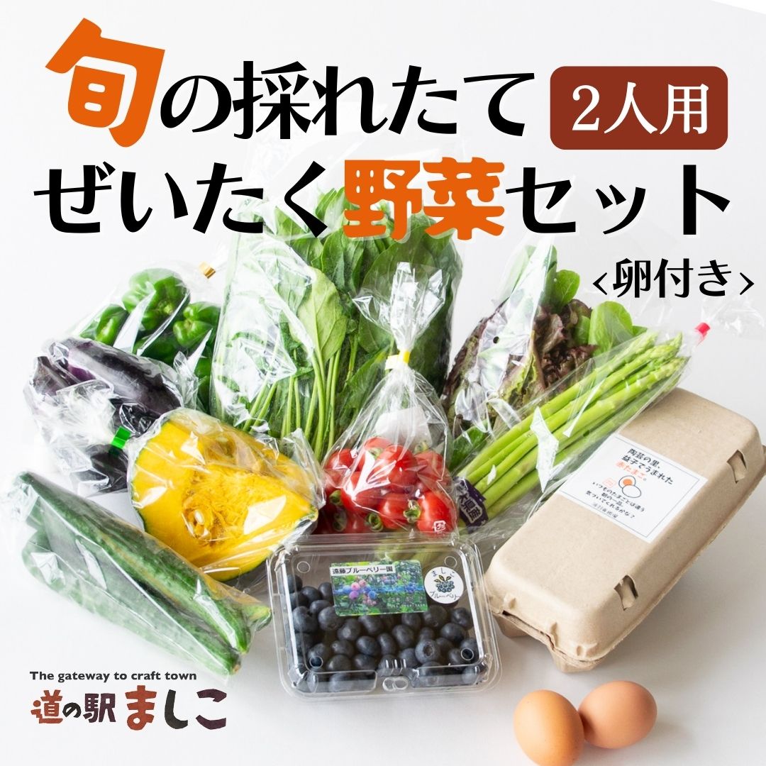 【ふるさと納税】旬の採れたてぜいたく野菜セット　卵付き♪　2人用　益子町 ふるさと納採れたて 卵 たまご セット 採れたて(AA001)