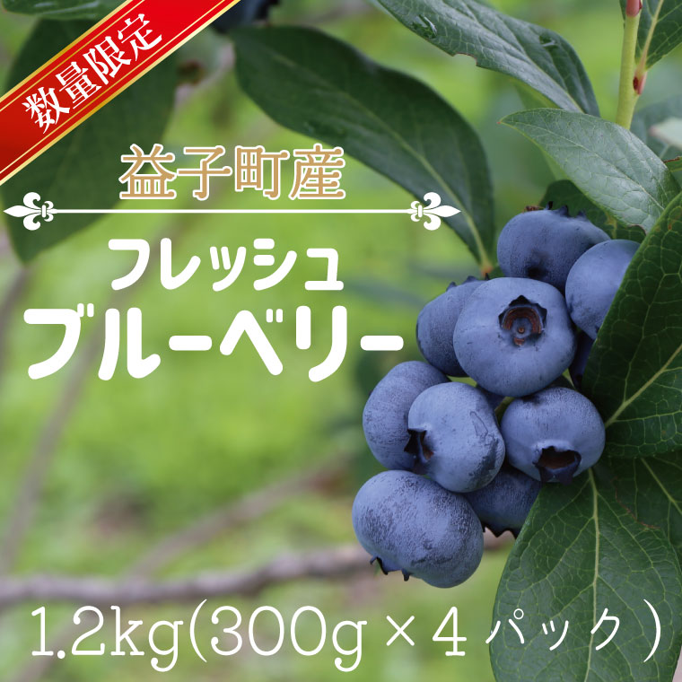【ふるさと納税】＼先行予約・数量限定／ 益子町産 フレッシュブルーベリー 1.2kg (300g×4パック) | ブルーベリー 6月上旬 順次発送 フルーツ 新鮮 旬 期間限定 数量限定 ハイブッシュ系 大粒 ジューシー スムージー (AA019-1)