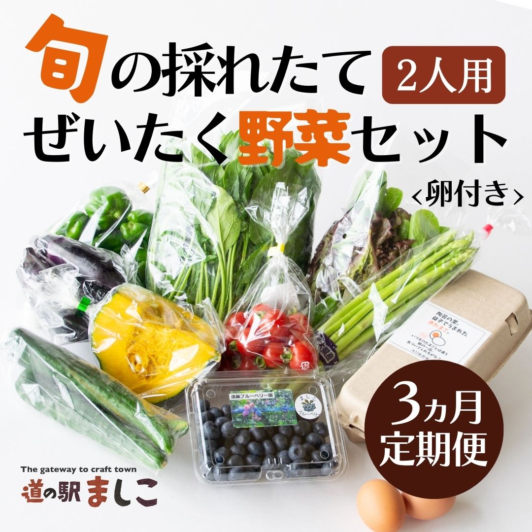 【ふるさと納税】＜3ヶ月定期便＞旬の採れたてぜいたく野菜セット（卵付き）2人用 益子町 ふるさと納税 やさい 野菜 セット 旬 野菜 採れたて(AA002)